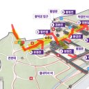 서울 종로구 종묘~창경궁~창덕궁 3개 고궁 투어 한방에 다녀오기 종묘 영령전 창경궁 명전전 춘당지...