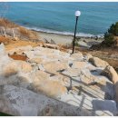 더마레 104 이미지