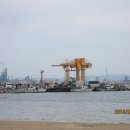 돌고래회식당 이미지