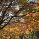 씨유 여수트리마제점 | 삶이란 긴 하모니~