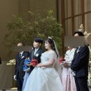 수요춤전 | W. 결혼식 생생후기 4편😊 닭날리기 이벤트(식순, 대본, 닭인형, 보자기, 기프티콘)