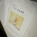 그랜드컨벤션/훈스타일스냅/안젤로아르떼