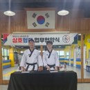 용인대엘리트태권도장 이미지