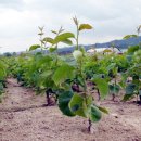 이원농장 이미지