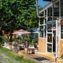 커피 플라워 이미지