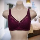 에스란제리 이미지