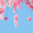 스마일치과 이미지