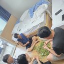 도영농장