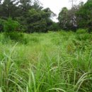 표선리-12 이미지