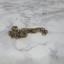 대덕대로-14 | 요즘 금테크, 궁금하다면? 꿀벌금거래소에서 만난 솔직 후기 대전 금은방