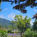 거창허브빌리지 | 거창허브빌리지 : 경남 라벤더 명소 & 거창 반값여행 가볼만한 곳 추천