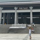 농협오거리 교통섬 | 26년 7월 일상