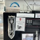 젤리엘;쁘띠엘