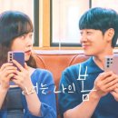 러블리독 이미지