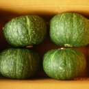 건이네 농장 이미지