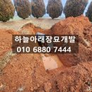 익산장묘개발