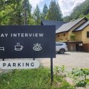 스테이인숲 이미지