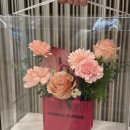 꼬두람이 | [신사/미슐랭2스타] 프로포즈 같았던 결혼기념일 보내기 - 한식 미슐랭 스와니예 (SOIGNÉ) 런치