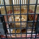 거제메디칼센타 이미지