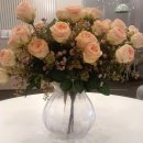 다시봄안과의원 이미지