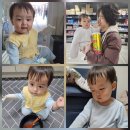 더하기약국 | 2025.12.15.월 (434일차) 우주 팔깁스 4일차 - 집에서 요양하며 여행갈 준비 feat.전주꿀보다닭강정