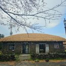 성읍정의현로 이미지