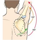 경희행복한의원 이미지