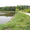 신장소류지 이미지