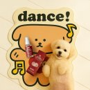 댕스케어센터 이미지