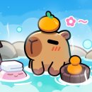 주식회사 펫메이드 이미지