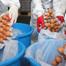 김영수농장 이미지