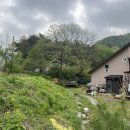 한붓꽃그림 이미지