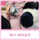 판다 좋아하는 아이 장난감 판다 매직큐브 후기