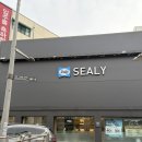 에이스홀 | 신혼 침대 매트리스 추천 브랜드 비교 시몬스 템퍼 씰리 에이스 금성침대