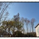 이소 펜션 이미지