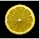 레몬의 꿈 이미지