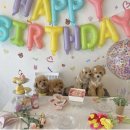 도요케이크 이미지