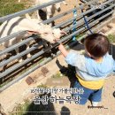 토끼와당근울산지사 | 울산 아이랑 가볼만한곳 추천, 하늘목장 16개월 아기랑 다녀온 후기