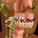 하늘플란트치과의원 이미지