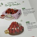 투썸플레이스 명지대방점 | 투썸플레이스 생딸기 요거트 생크림 바스켓 신메뉴 후기