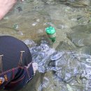 미당서정주의 집 이미지