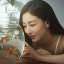 비너스 중앙SUNDAY