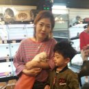 컴투펫주 | 안녕하세요!컴투펫인천점 5월첫째주 고객님후기사진
