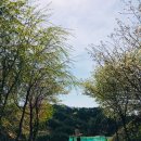 소여1리 이미지