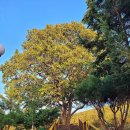 파주 눌노리 체험 캠핑장 이미지