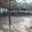 파주6리 경로당 이미지