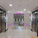 준 복싱클럽 이미지