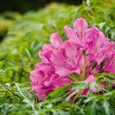 합산경로당 이미지