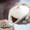써니컵케이크