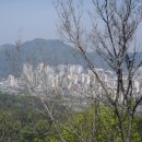 진월중학교 이미지